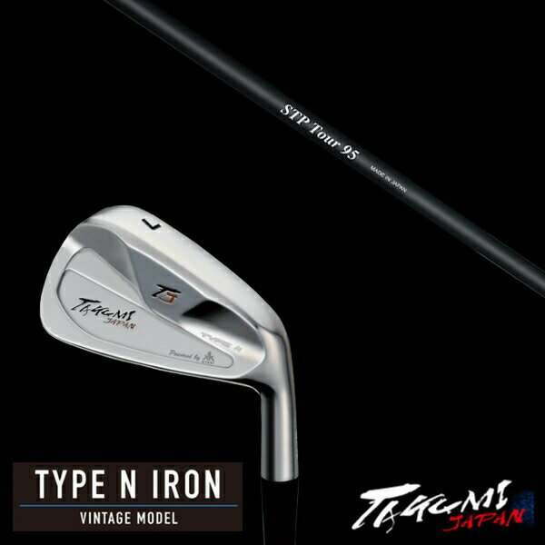 ९ ɥ N  TYPE N IRON VINTAGE MODEL #4-PW 7ܥå CRAZY ST...
