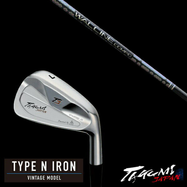 カスタムクラブ 共栄ゴルフ タイプN アイアン TYPE N IRON VINTAGE MODEL #4-PW 7本セット ワクチンコンポ GR331 WACC...