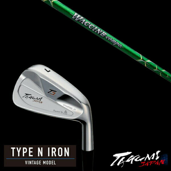 カスタムクラブ 共栄ゴルフ タイプN アイアン TYPE N IRON VINTAGE MODEL #4-PW 7本 ワクチンコンポ GR351 WACCINE...