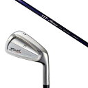 カスタムクラブ 共栄ゴルフ タイプS アイアン TYPE S IRON VINTAGE MODEL #4-PW 7本セット CRAZY STP ARROW ST...