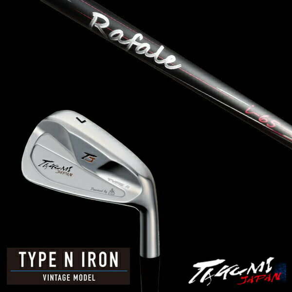 カスタムクラブ 共栄ゴルフ タイプN アイアン TYPE N IRON VINTAGE MODEL #4-PW 7本 ラファール Rafale i-65 ネクス...
