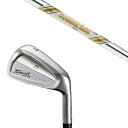 カスタムクラブ 共栄ゴルフ タイプS アイアン TYPE S IRON VINTAGE MODEL #4-PW ダイナミックゴールド DG AMTツアーイシュー...