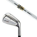 カスタムクラブ 共栄ゴルフ タイプS アイアン TYPE S IRON VINTAGE MODEL #4-PW ダイナミックゴールド DG トゥルーテンパー タ...