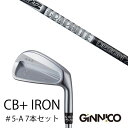 カスタムクラブ 7本セット / イオンスポーツ ジニコ GINNICO CB+ Iron #5-A / ツアーAD AD-105 AD-115 グラファイトデザ...