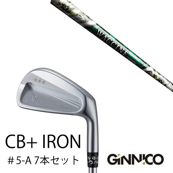 カスタムクラブ 7本セット / イオンスポーツ ジニコ GINNICO CB+ Iron #5-A / ワクチンコンポ GR350 WACCINEcompo G...