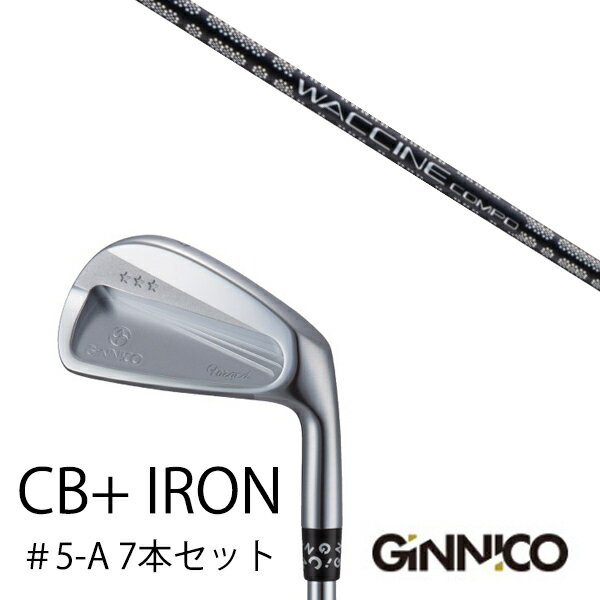 カスタムクラブ 7本セット / イオンスポーツ ジニコ GINNICO CB+ Iron #5-A / ワクチンコンポ GR451 WACCINEcompo G...