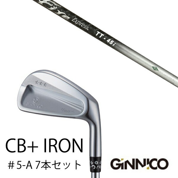 EON SPORTS - カスタムクラブ 7本セット / イオンスポーツ ジニコ GINNICO CB+ Iron #5-A / ファイヤーエクスプレス TT-45i Fire Express TT-45i / EONSPORTS