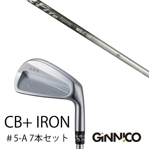 樂天商城 - カスタムクラブ 7本セット / イオンスポーツ ジニコ GINNICO CB+ Iron #5-A / ファイヤーエクスプレス MS-I Fire Express MS-I / EONSPORTS