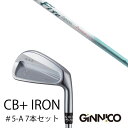 カスタムクラブ 7本セット / イオンスポーツ ジニコ GINNICO CB+ Iron #5-A / ファイヤーエクスプレス プレミアムバージョン I-55 ...
