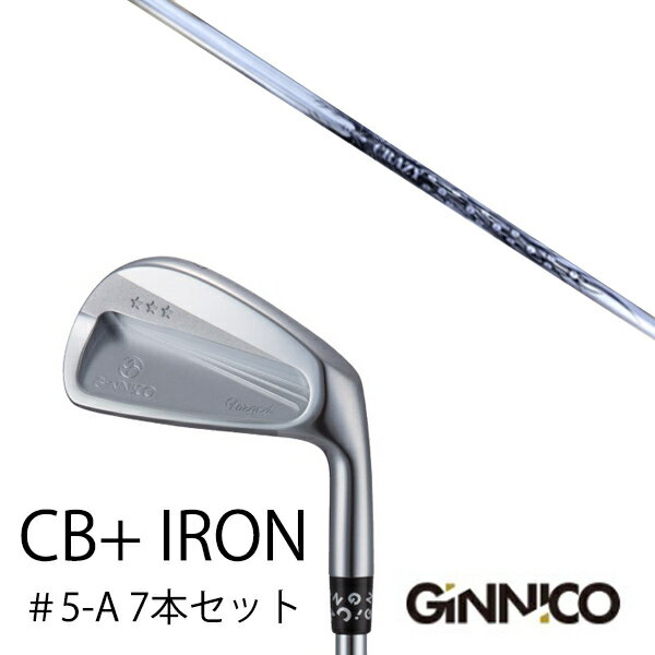 カスタムクラブ 7本セット / イオンスポーツ ジニコ GINNICO CB+ Iron #5-A / CRAZY CBI-9 CRAZY / EONSPORT...