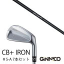 カスタムクラブ 7本セット / イオンスポーツ ジニコ GINNICO CB+ Iron #5-A / CRAZY STP Tour STPツアー CRAZY ...