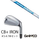 カスタムクラブ 7本セット / イオンスポーツ ジニコ GINNICO CB+ Iron #5-A / NSプロ ゼロス6 エヌエスプロ Zelos6 日本シャフト / EONSPORTS