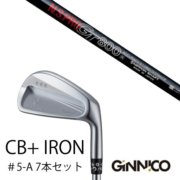Iron - カスタムクラブ 7本セット / イオンスポーツ ジニコ GINNICO CB+ Iron #5-A / NSプロ GT800 日本シャフト エヌエスプロ / EONSPORTS