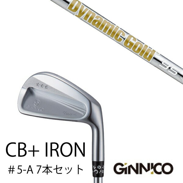 樂天商城 - カスタムクラブ 7本セット / イオンスポーツ ジニコ GINNICO CB+ Iron #5-A / ダイナミックゴールド DG 120VSS / 95VSS PRO / EONSPORTS