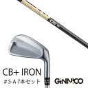 カスタムクラブ 7本セット / イオンスポーツ ジニコ GINNICO CB+ Iron #5-A / ダイナミックゴールド 105 オニキスブラック トゥルーテンパー / EONSPORTS