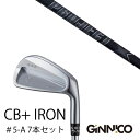カスタムクラブ 7本セット / イオンスポーツ ジニコ GINNICO CB+ Iron #5-A / プロジェクトX オールブラック トゥルーテンパー / E...