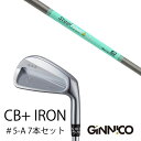 カスタムクラブ 7本セット / イオンスポーツ ジニコ GINNICO CB+ Iron #5-A / スチールファイバー Hツアー シリーズ トゥルーテンパー...