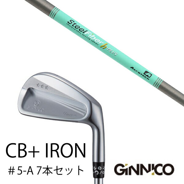 Rakuten - カスタムクラブ 7本セット / イオンスポーツ ジニコ GINNICO CB+ Iron #5-A / スチールファイバー Hプラス シリーズ トゥルーテンパー / EONSPORTS