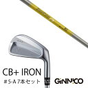 カスタムクラブ 7本セット / イオンスポーツ ジニコ GINNICO CB+ Iron #5-A / スチールファイバー J シリーズ トゥルーテンパー / ...