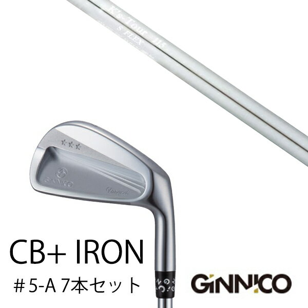カスタムクラブ 7本セット / イオンスポーツ ジニコ GINNICO CB+ Iron #5-A / K's ...