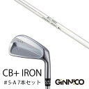 カスタムクラブ 7本セット / イオンスポーツ ジニコ GINNICO CB+ Iron #5-A / K's-3001 ケーズ3001 島田ゴルフ製作所 / ...