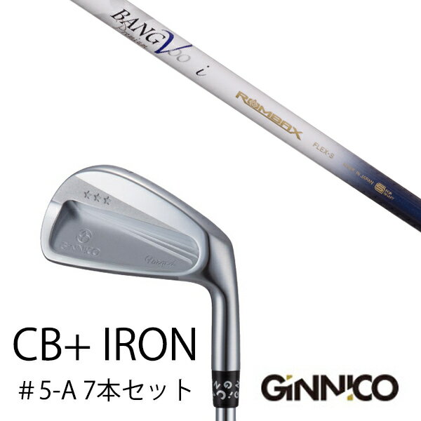 カスタムクラブ 7本セット / イオンスポーツ ジニコ GINNICO CB+ Iron #5-A / ムジーク ロンバックス バンブー プレミアム / EON...