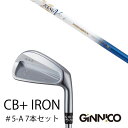 カスタムクラブ 7本セット / イオンスポーツ ジニコ GINNICO CB+ Iron #5-A / ムジーク ロンバックス バンブー プレミアム ライト /...