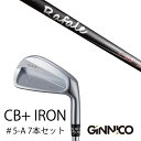カスタムクラブ 7本セット / イオンスポーツ ジニコ GINNICO CB+ Iron #5-A / ラファール Rafale i-65 ネクストゴルフ / ...