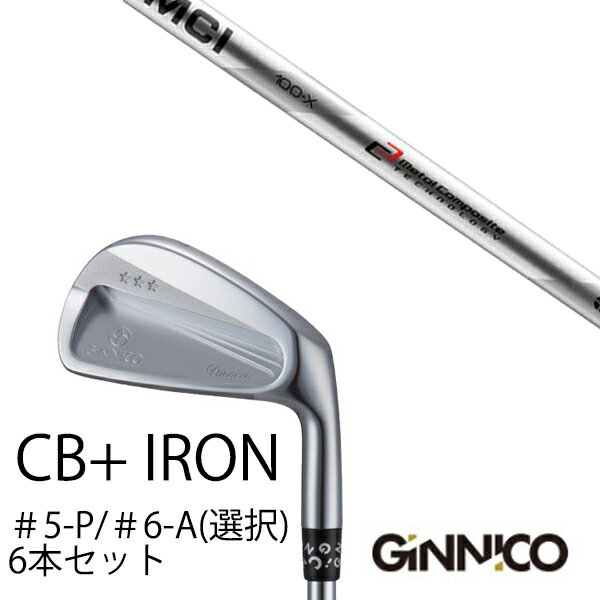 カスタムクラブ 6本セット / イオンスポーツ ジニコ GINNICO CB+ Iron #5-P ＃6-A 番手選択 / MCI MCI90-MCI110 アイアン フジクラ / EONSPORTS