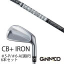カスタムクラブ 6本セット / イオンスポーツ ジニコ GINNICO CB+ Iron #5-P #6-A 番手選択 / ツアーAD AD-105 AD-11...