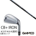 カスタムクラブ 6本セット / イオンスポーツ ジニコ GINNICO CB+ Iron #5-P #6-A 番手選択 / ワクチンコンポ GR331 WACC...