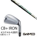 カスタムクラブ 6本セット / イオンスポーツ ジニコ GINNICO CB+ Iron #5-P #6-A 番手選択 / ワクチンコンポ GR350 WACC...
