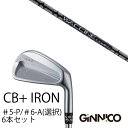 カスタムクラブ 6本セット / イオンスポーツ ジニコ GINNICO CB+ Iron #5-P #6-A 番手選択 / ワクチンコンポ GR451 WACC...