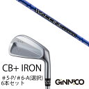 カスタムクラブ 6本セット / イオンスポーツ ジニコ GINNICO CB+ Iron #5-P #6-A 番手選択 / ワクチンコンポ GR561 WACC...