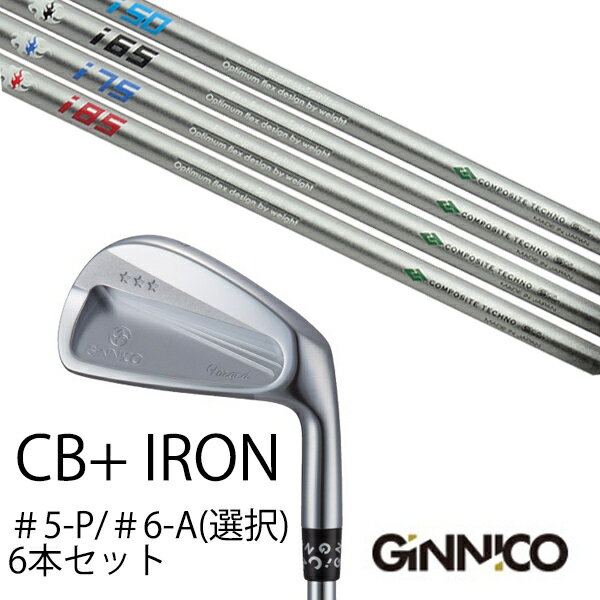 樂天商城 - カスタムクラブ 6本セット / イオンスポーツ ジニコ GINNICO CB+ Iron #5-P ＃6-A 番手選択 / ファイヤーエクスプレス スピリッツ Fire Express Spirits / EONSPORTS
