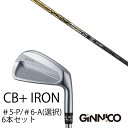 カスタムクラブ 6本セット / イオンスポーツ ジニコ GINNICO CB+ Iron #5-P #6-A 番手選択 / バシレウス BiZ70 / 90 B...