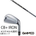 カスタムクラブ 6本セット / イオンスポーツ ジニコ GINNICO CB+ Iron #5-P #6-A 番手選択 / バシレウス ツアーアイアン BTi ...