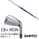カスタムクラブ 6本セット / イオンスポーツ ジニコ GINNICO CB+ Iron #5-P #6-A 番手選択 / CRAZY CBI-9 CRAZY ...