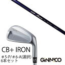 カスタムクラブ 6本セット / イオンスポーツ ジニコ GINNICO CB+ Iron #5-P #6-A 番手選択 / CRAZY STP ARROW ST...