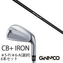 カスタムクラブ 6本セット / イオンスポーツ ジニコ GINNICO CB+ Iron #5-P #6-A 番手選択 / CRAZY STP Tour STP...