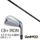 カスタムクラブ 6本セット / イオンスポーツ ジニコ GINNICO CB+ Iron #5-P #6-A 番手選択 / CRAZY STP Iron STP...