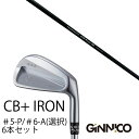 カスタムクラブ 6本セット / イオンスポーツ ジニコ GINNICO CB+ Iron #5-P #6-A 番手選択 / CRAZY STP Proto ST...