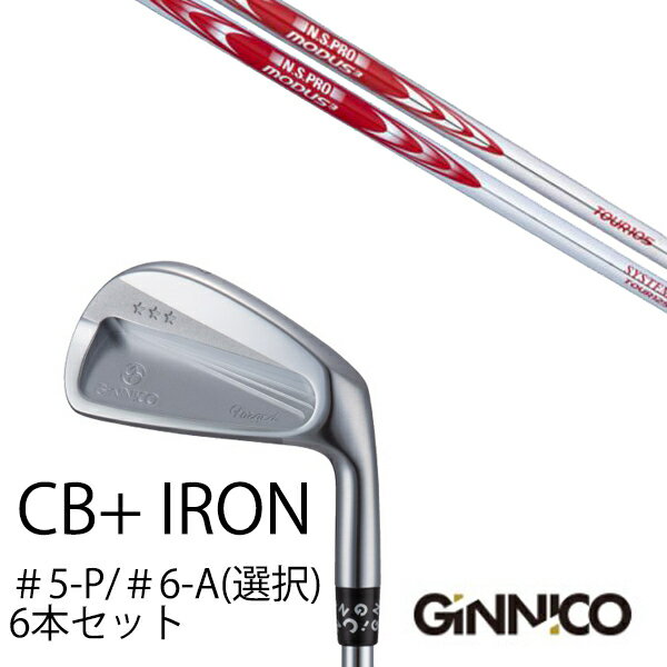 樂天商城 - カスタムクラブ 6本セット / イオンスポーツ ジニコ GINNICO CB+ Iron #5-P ＃6-A 番手選択 / 日本シャフト エヌエスプロ NSプロ モーダス3 ツアー105 / EONSPORTS