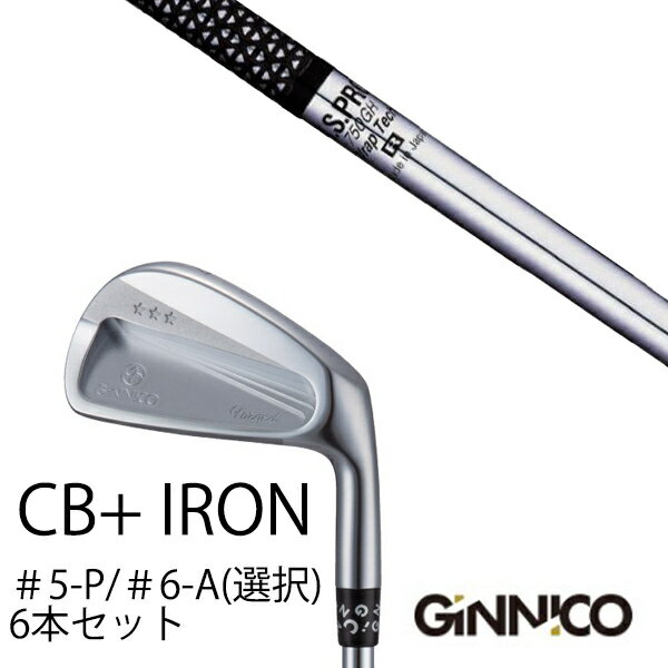 Rakuten - カスタムクラブ 6本セット / イオンスポーツ ジニコ GINNICO CB+ Iron #5-P ＃6-A 番手選択 / NSプロ 750GH エヌエスプロ 日本シャフト / EONSPORTS