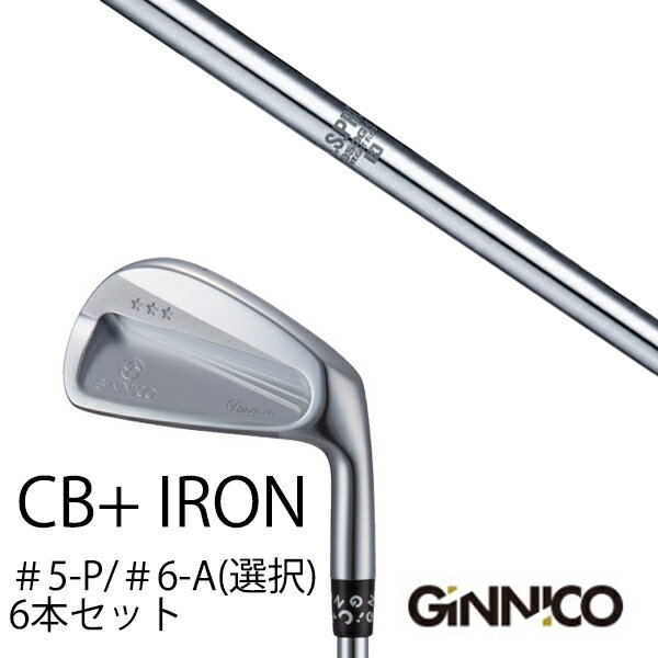 ९ 6ܥå / 󥹥ݡ ˥ GINNICO CB+ Iron #5-P 6-A ּ / NSץ 950GH WF ̥ץ ܥե / EONSPORTS