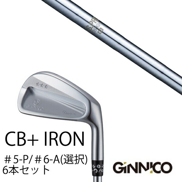 カスタムクラブ 6本セット / イオンスポーツ ジニコ GINNICO CB+ Iron #5-P ＃6-A 番手選択 / NSプロ 1050GH エヌエスプロ 日本シャフト / EONSPORTS