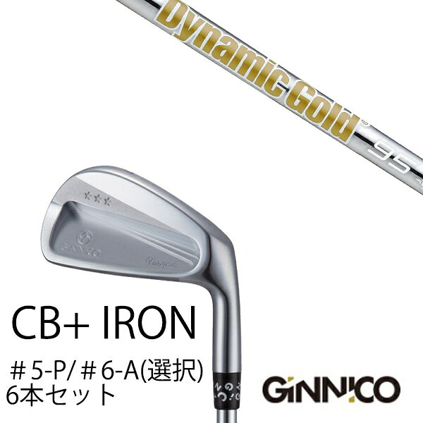 Rakuten - カスタムクラブ 6本セット / イオンスポーツ ジニコ GINNICO CB+ Iron #5-P ＃6-A 番手選択 / ダイナミックゴールド DG 120VSS / 95VSS PRO / EONSPORTS