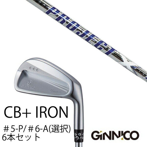 樂天商城 - カスタムクラブ 6本セット / イオンスポーツ ジニコ GINNICO CB+ Iron #5-P ＃6-A 番手選択 / プロジェクトX LZ STEEL スチール トゥルーテンパー / EONSPORTS