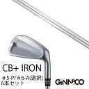 カスタムクラブ 6本セット / イオンスポーツ ジニコ GINNICO CB+ Iron #5-P #6-A 番手選択 / K's-3001 105 ケーズ30...