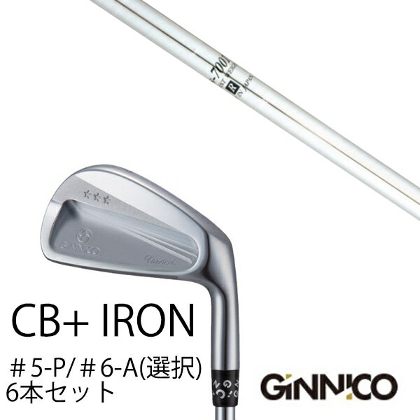 Iron - カスタムクラブ 6本セット / イオンスポーツ ジニコ GINNICO CB+ Iron #5-P ＃6-A 番手選択 / K's-7001 ケーズ7001 島田ゴルフ製作所 / EONSPORTS